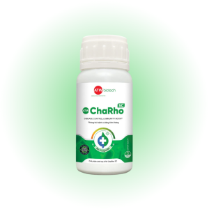 Trừ nấm sinh học phổ rộng - ATW ChaRho SC